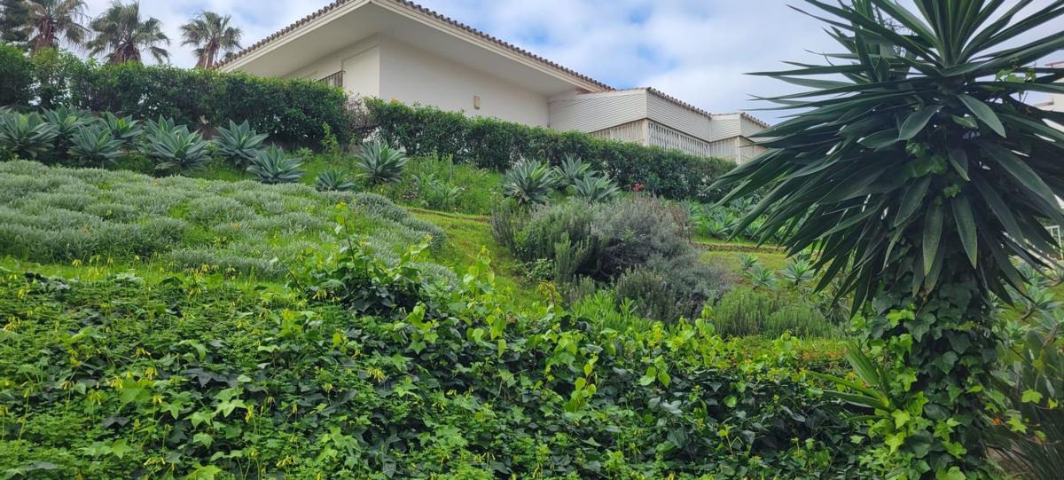 Venta de piso en Urbanización Sitio de Calahonda s/n, Mijas
photo 3