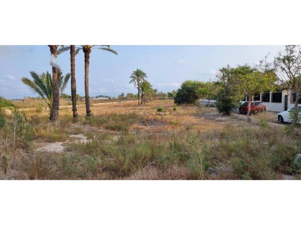 Finca rústica en venta en Valverde , Elche / Elx photo 1