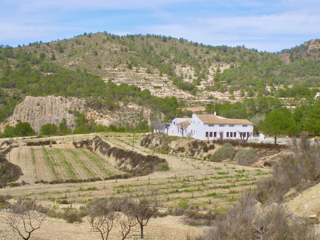 Venta de chalet independiente en Partida Almadrava, 1, Petrer
photo 1