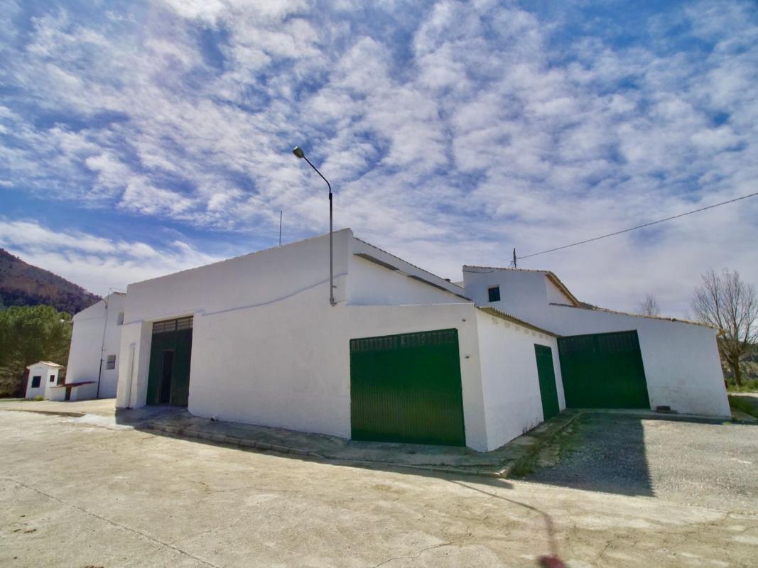 Venta de chalet independiente en Partida Almadrava, 1, Petrer
photo 4