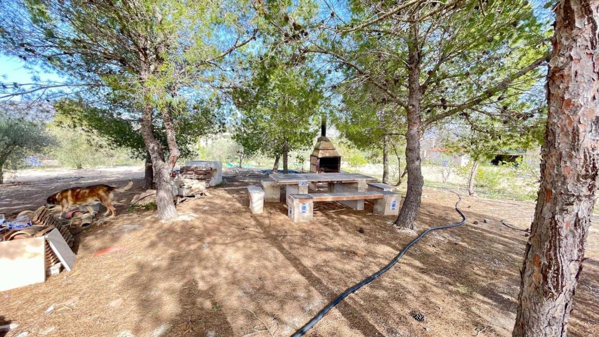 Sale of independent chalet in Chorrillo de sax, Sax
photo 5