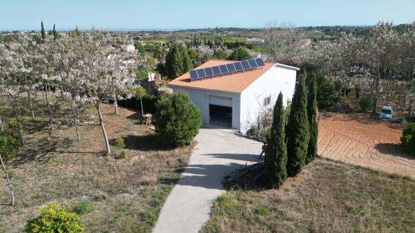 Rustic farm for sale in Centro , Pedreguer thumbnail 1