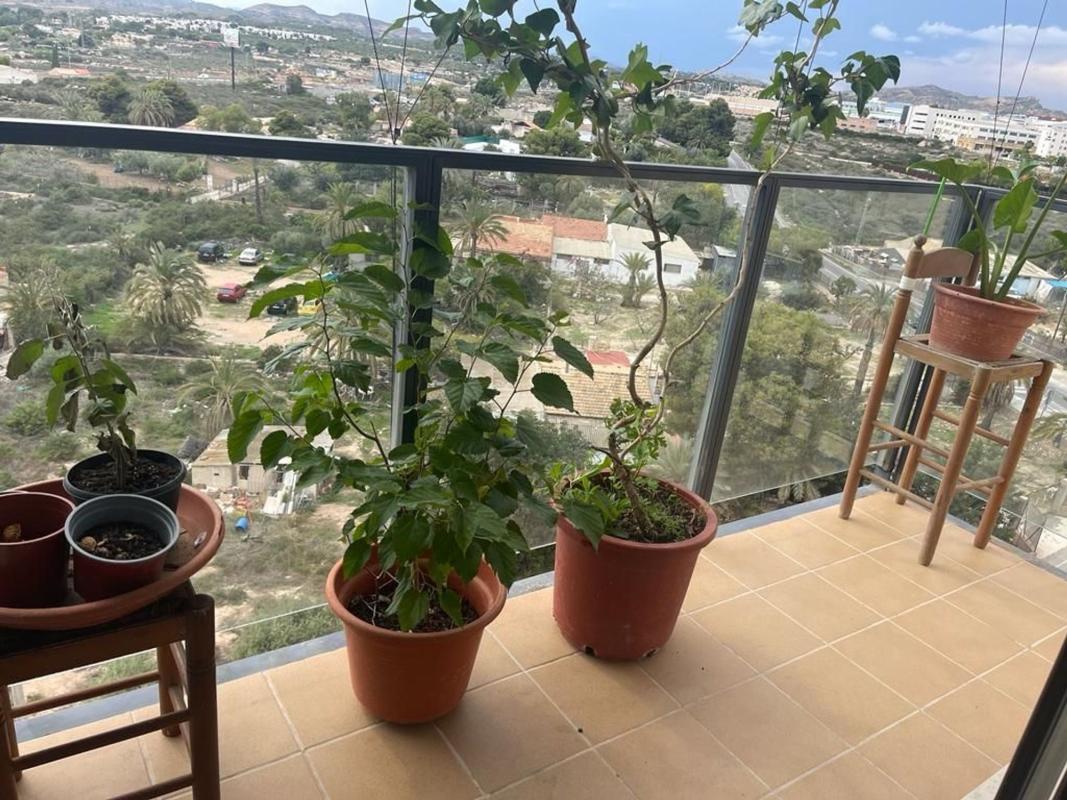 Venta de piso en AV/ Profesor Enrique Tierno Galván, 25, Elche / Elx
photo 1