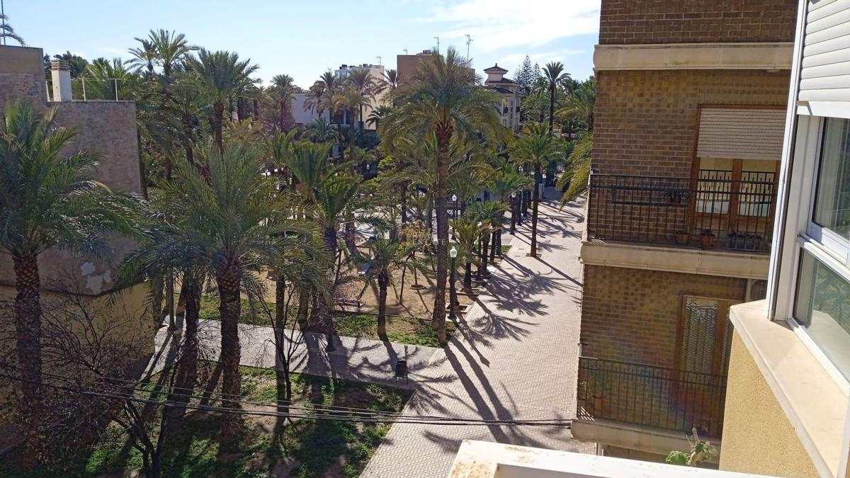 Sale of apartment in Barrio Centro, Elche / Elx
photo 3
