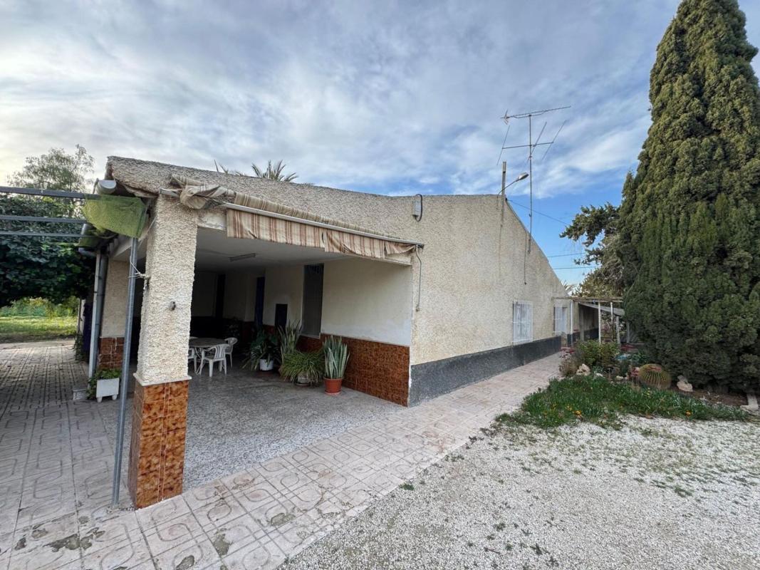 Venta de chalet independiente en Avenida d'Algoda, Elche / Elx
photo 1