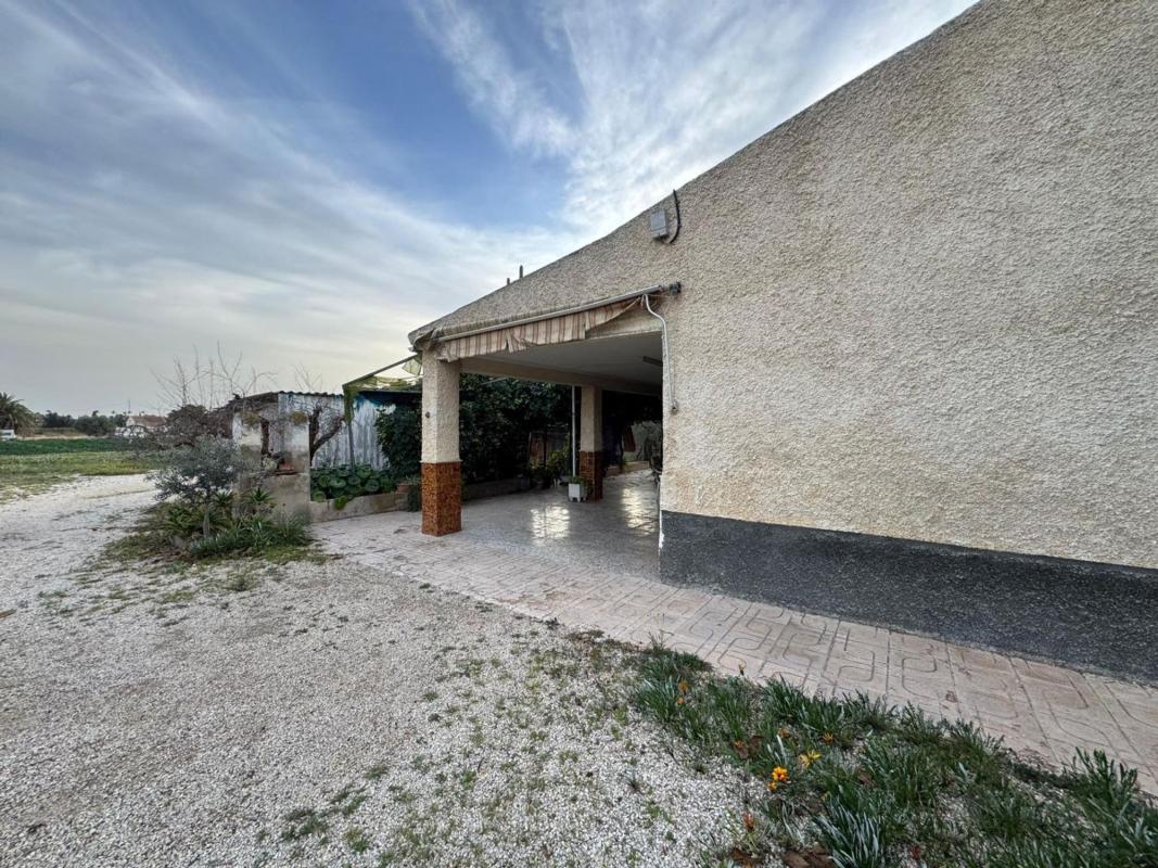 Venta de chalet independiente en Avenida d'Algoda, Elche / Elx
photo 2