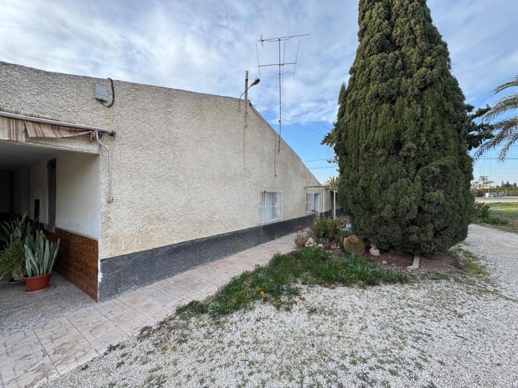 Venta de chalet independiente en Avenida d'Algoda, Elche / Elx
photo 5