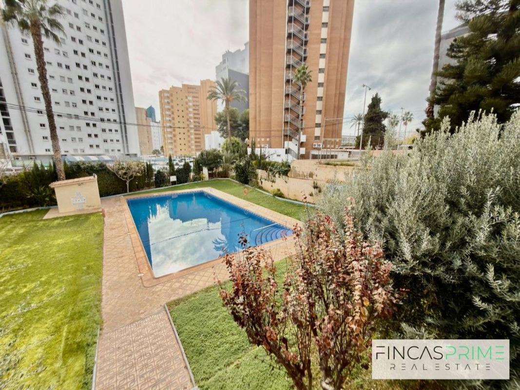 Venta de estudio en Calle Mirador, Benidorm photo 3