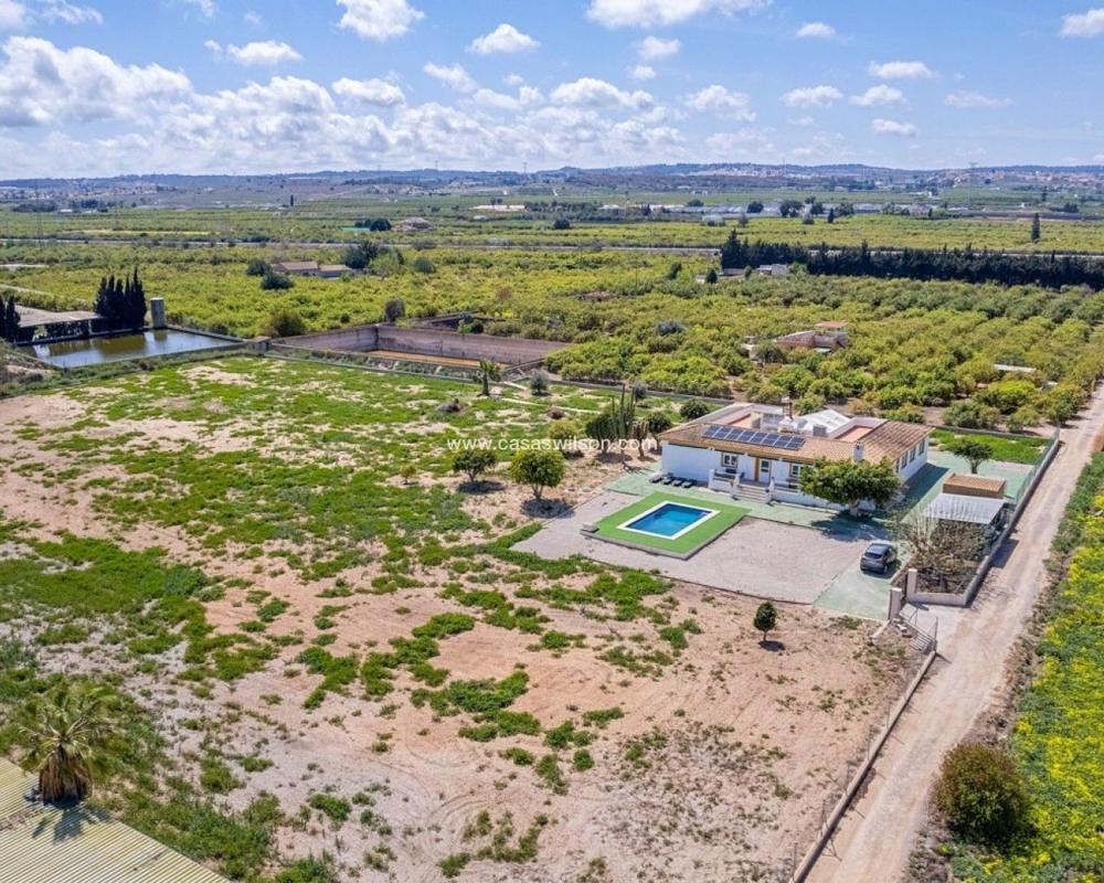Sprzedaż niezależnego domku jednorodzinnego w  Centro, San Miguel de Salinas photo 2