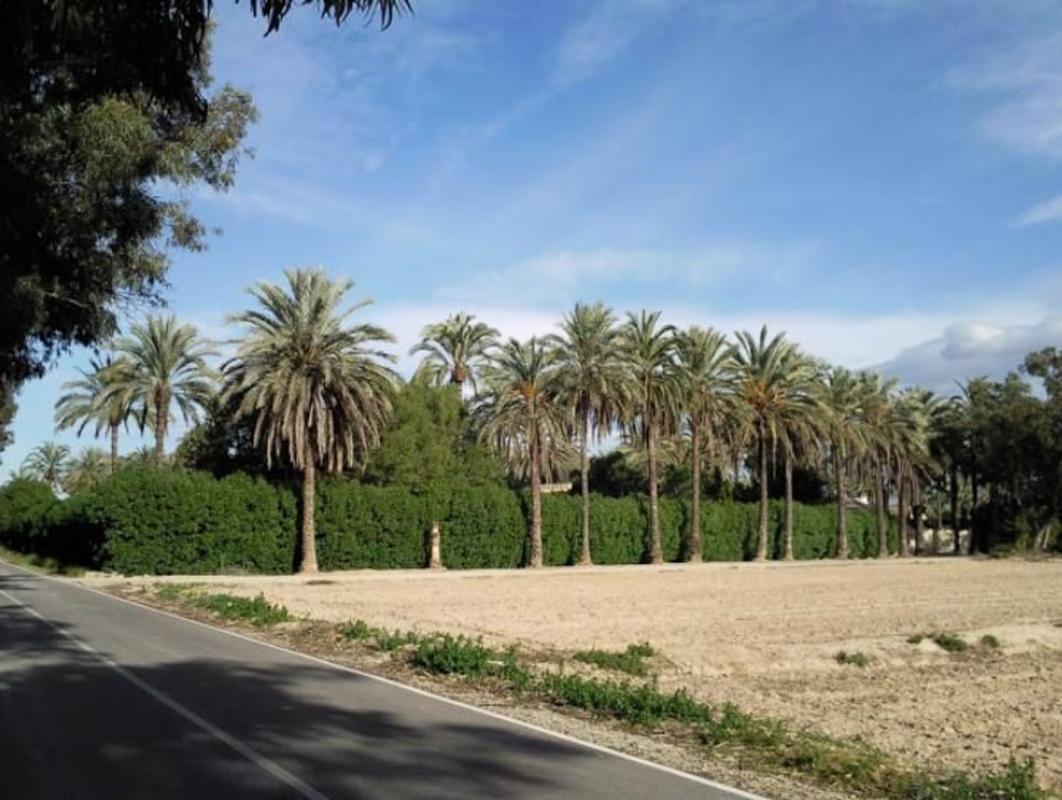 Venta de chalet independiente en Camino de la Piedra Escrita, 113, Elche / Elx
photo 2