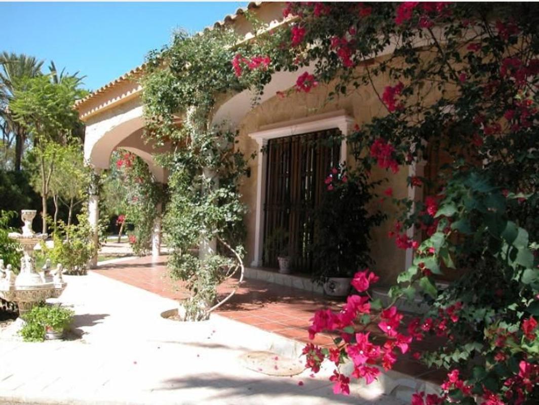 Venta de chalet independiente en Camino de la Piedra Escrita, 113, Elche / Elx
photo 3