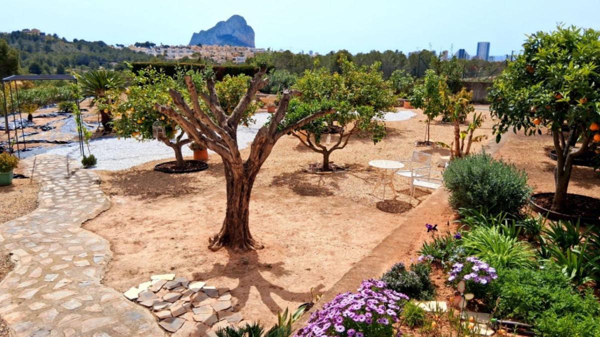Venta de chalet independiente en Cometa-Carrió, Calpe
 photo 3