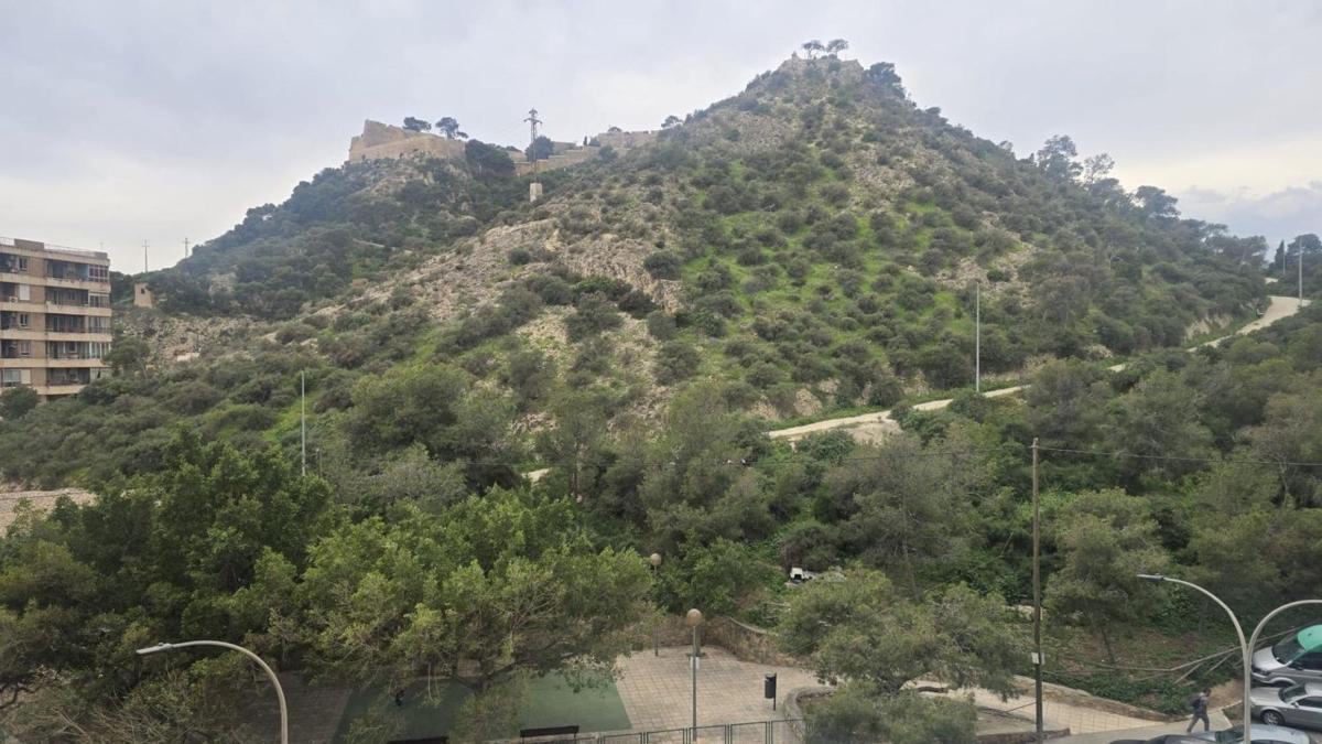 Venta de piso en Barrio Raval Roig-Virgen del Socorro, Alicante / Alacant
photo 2