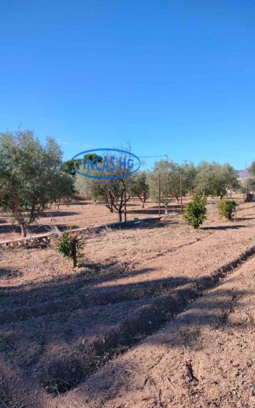Venta de chalet independiente en Agost, Agost
 photo 2