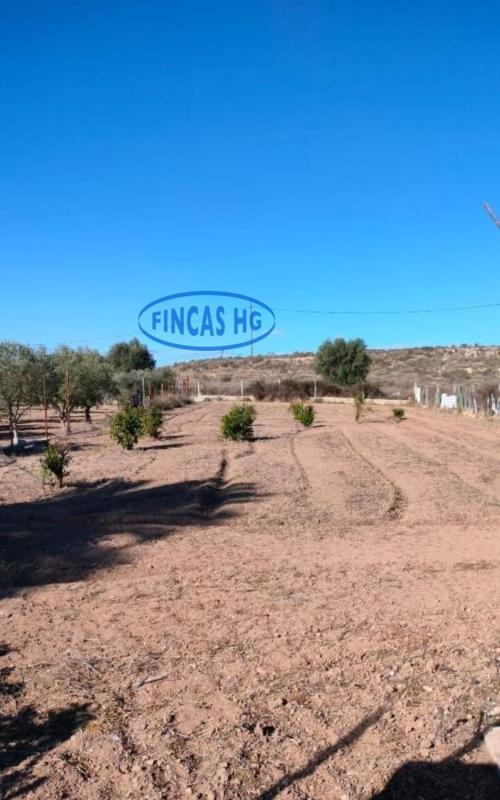 Venta de chalet independiente en Agost, Agost
 photo 5