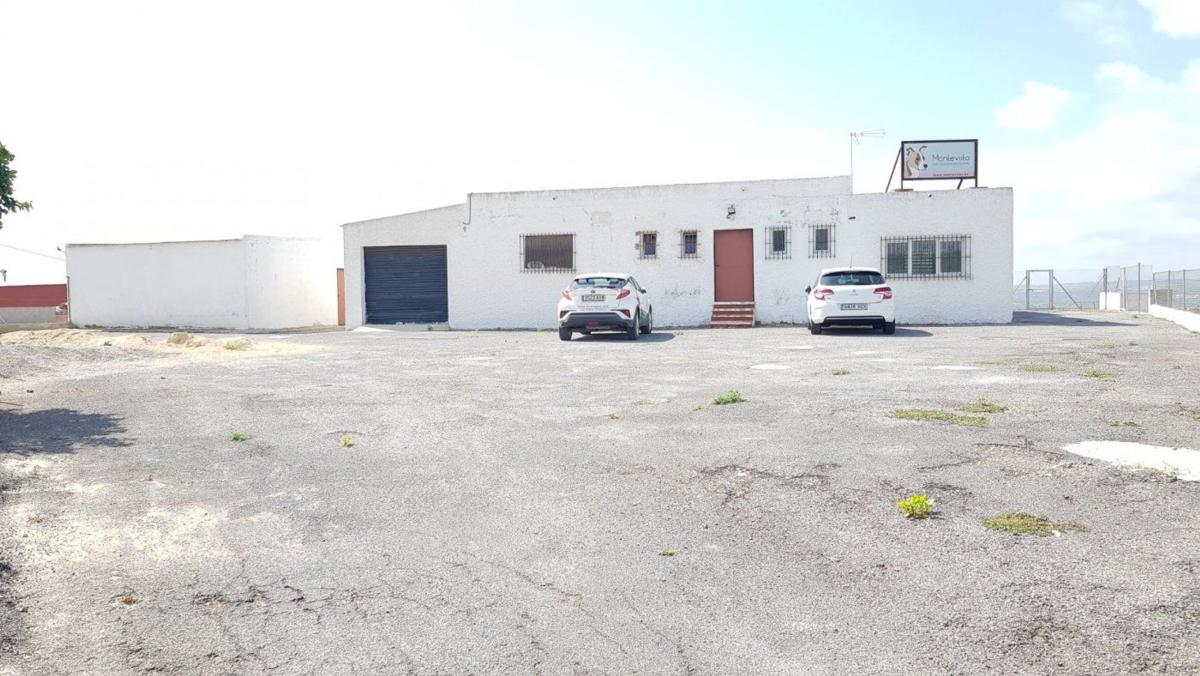 Продажа загородного участка в Los Montesinos , Лос-Монтесинос photo 4