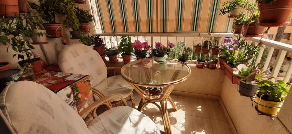 Sale of flat in Calle Dolores Viudes Blasco, Guardamar del Segura
 photo 1