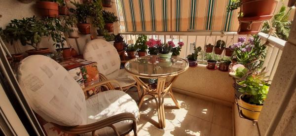 Sale of flat in Calle Dolores Viudes Blasco, Guardamar del Segura
 photo 3
