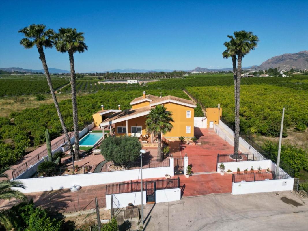 Venta de finca rústica en Desamparados-Hurchillo-Torremendo , Orihuela photo 4