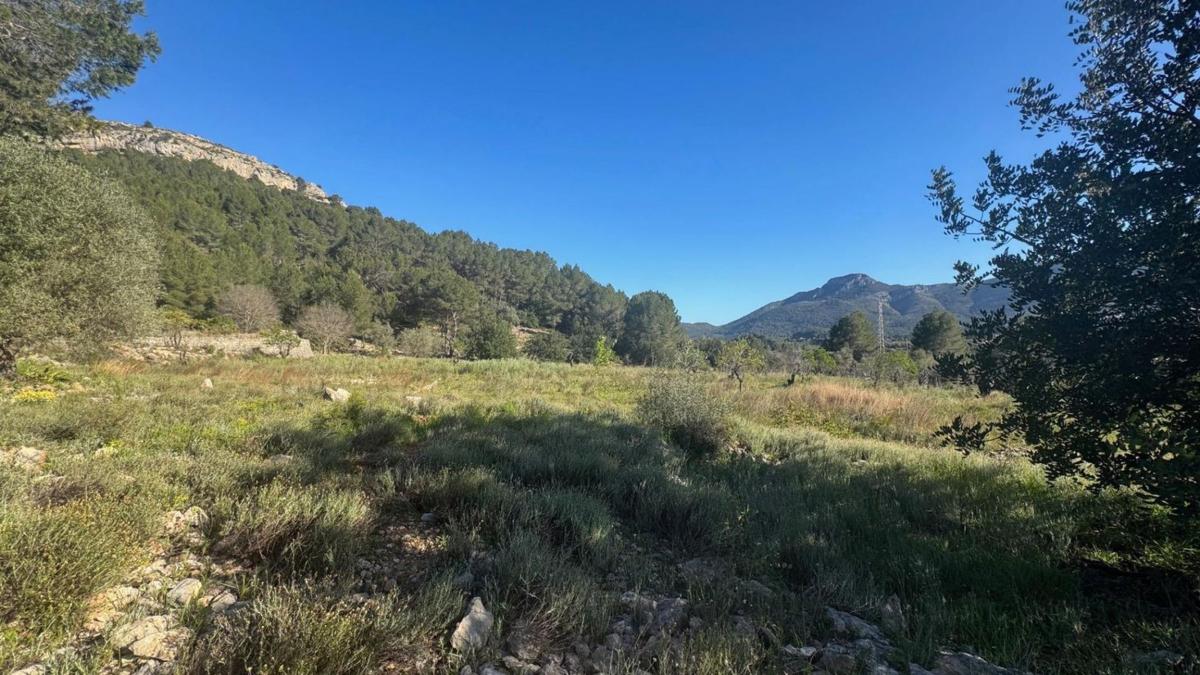 Terreno en venta en Murla, Alicante photo 2
