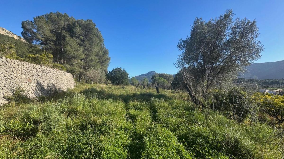 Terreno en venta en Murla, Alicante photo 4