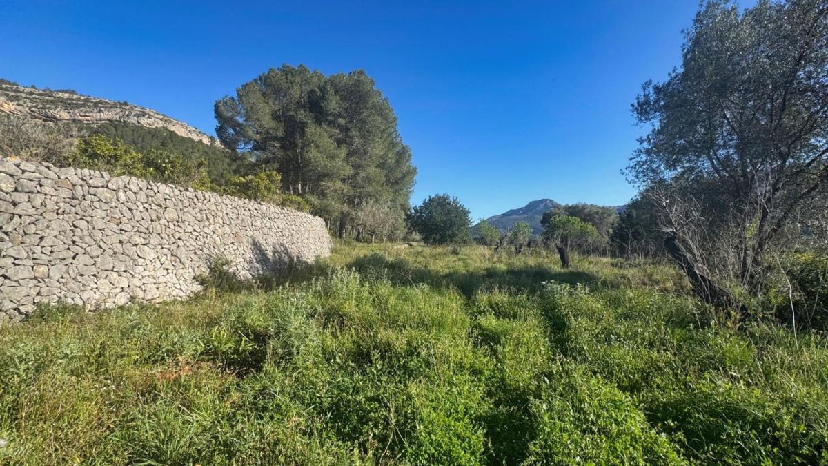 Terreno en venta en Murla, Alicante photo 5