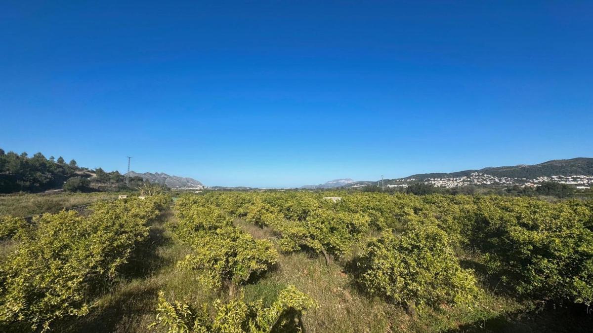 Terreno en venta en Orba, Alicante photo 1