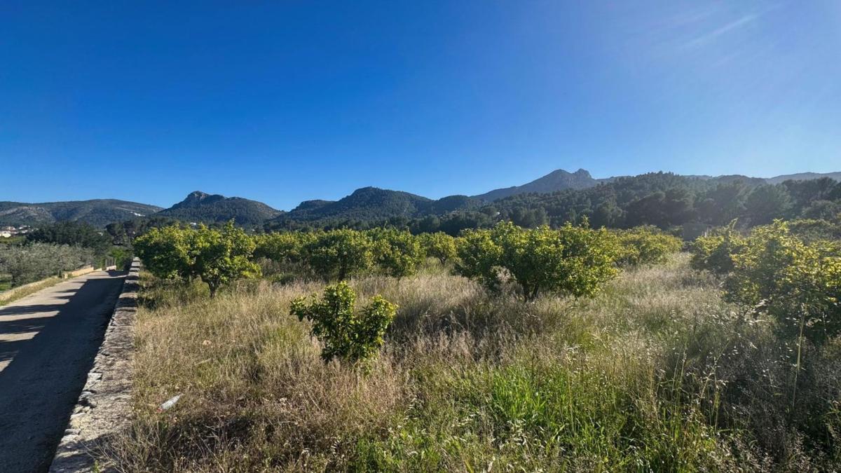 Terreno en venta en Orba, Alicante photo 2