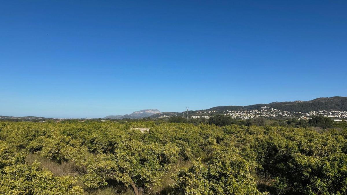 Terreno en venta en Orba, Alicante photo 3