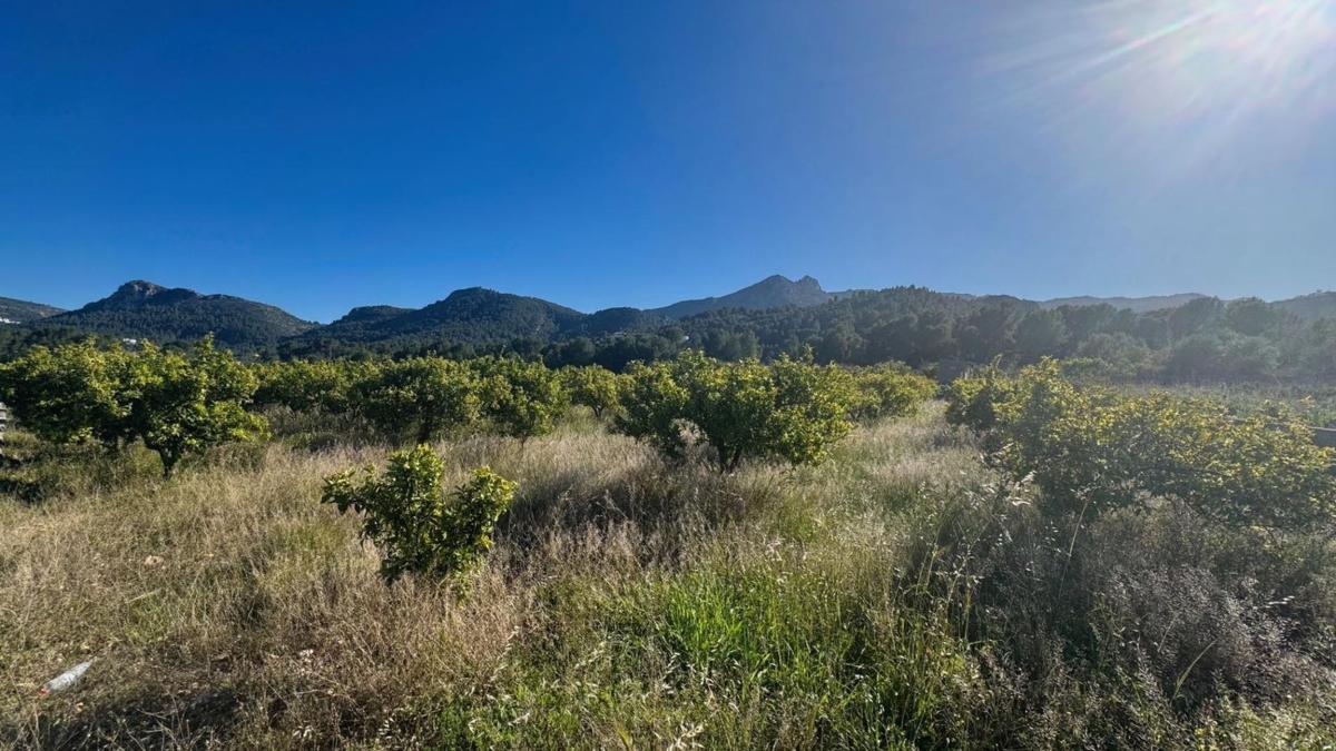 Terreno en venta en Orba, Alicante photo 4