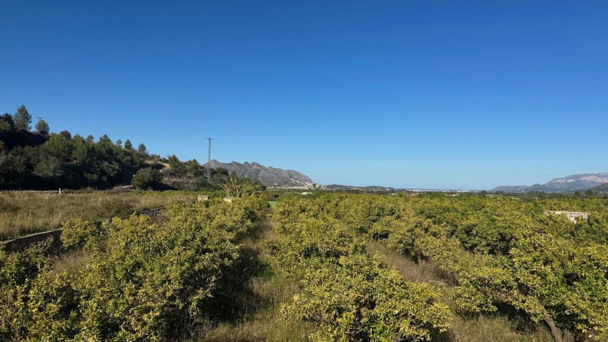 Terreno en venta en Orba, Alicante photo 5