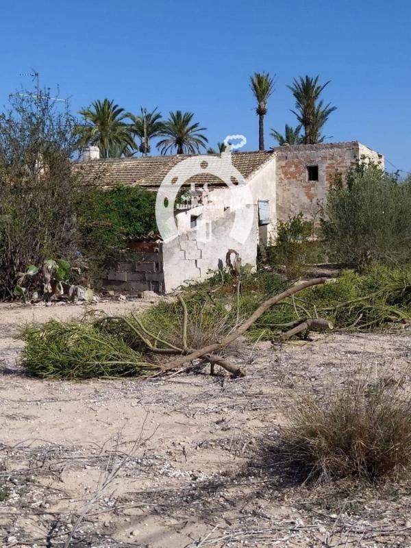 Działka na sprzedaż w Elche / Elx, Alicante photo 1