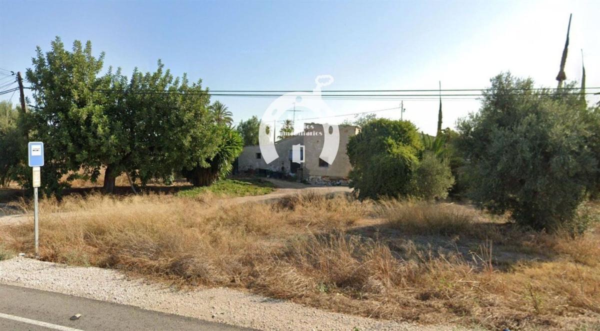 Działka na sprzedaż w Elche / Elx, Alicante photo 2