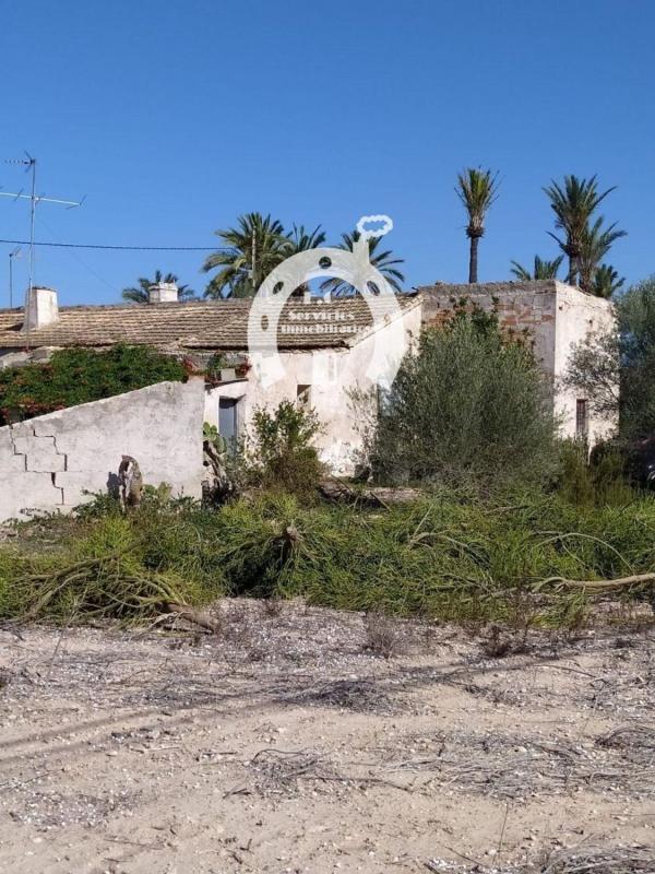 Działka na sprzedaż w Elche / Elx, Alicante photo 3