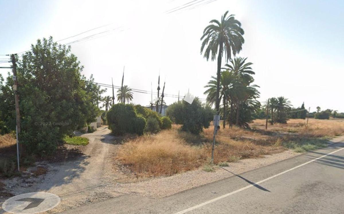 Działka na sprzedaż w Elche / Elx, Alicante photo 4