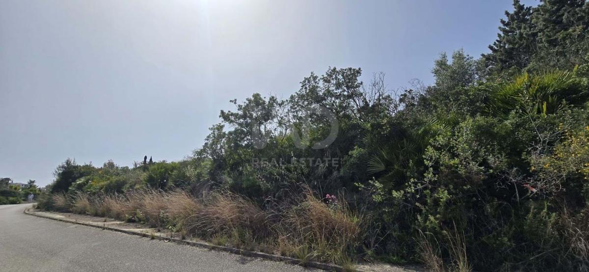 Terreno en venta en Denia, Alicante photo 4
