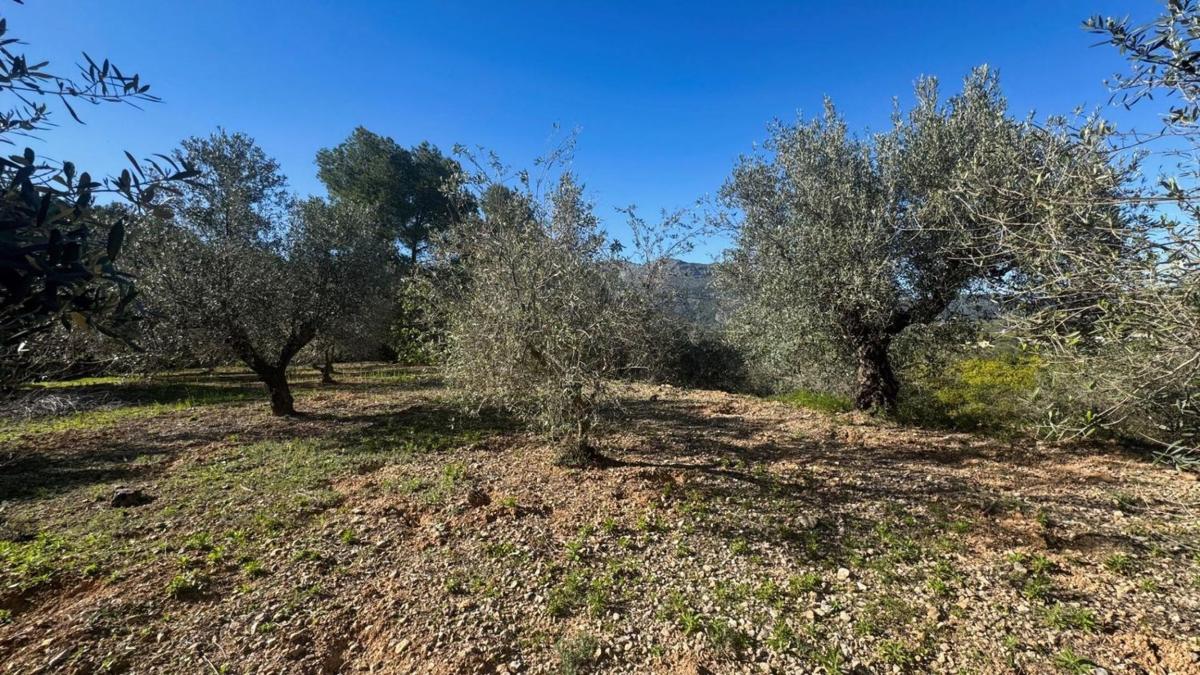Terreno en venta en Orba, Alicante photo 4