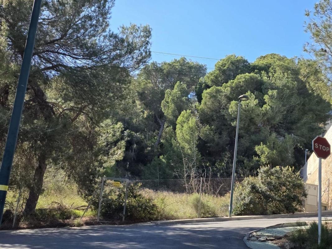Terreno en venta en Pilar de la Horadada, Alicante photo 2