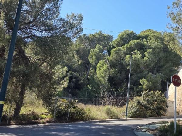 Terreno en calle Tejo p C photo 2