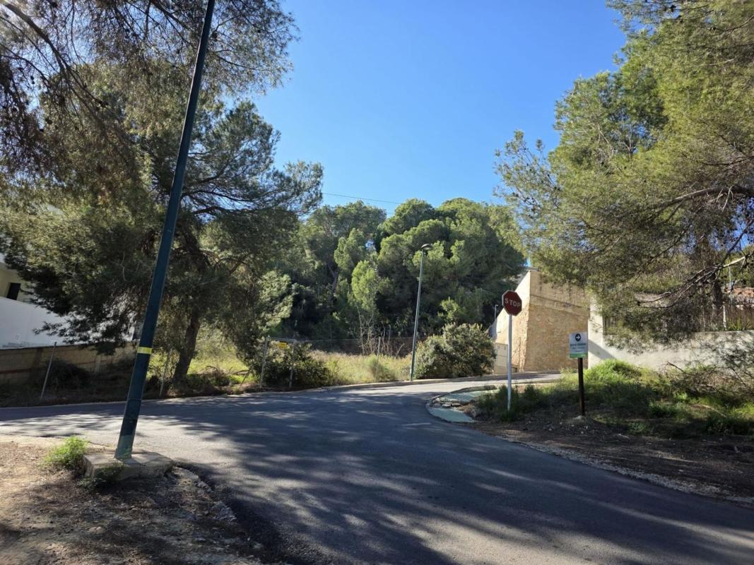 Terreno en venta en Pilar de la Horadada, Alicante photo 3