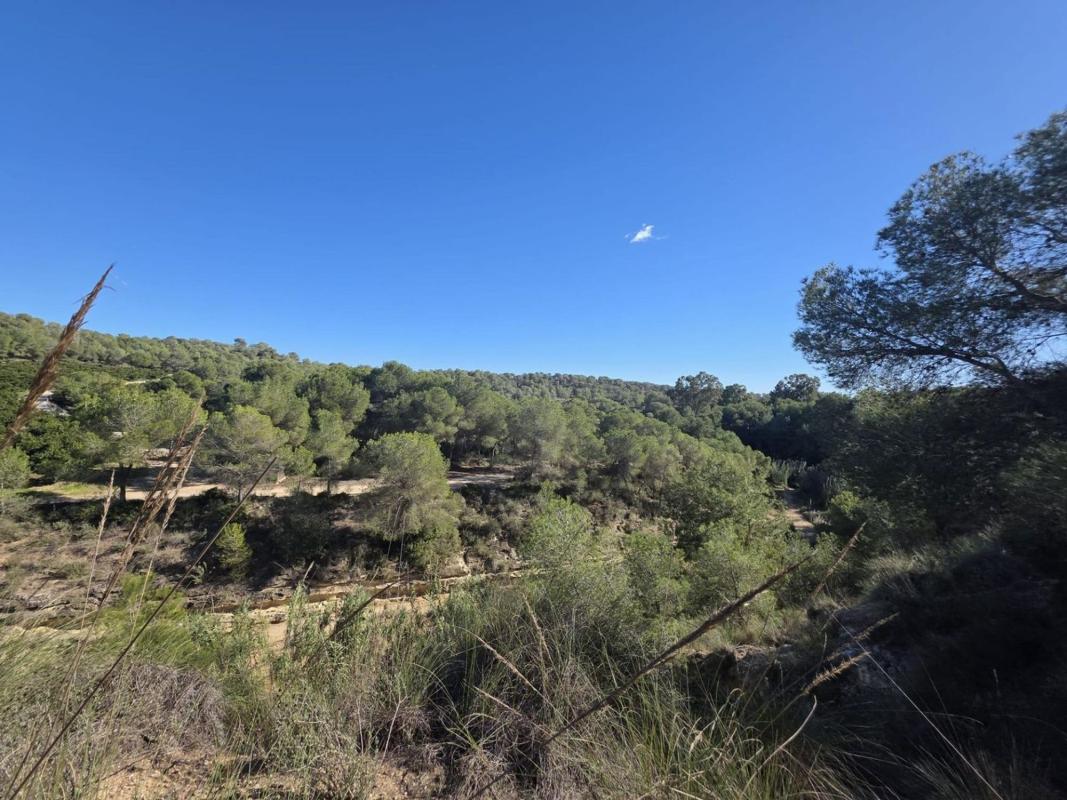 Terreno en venta en Pilar de la Horadada, Alicante photo 4