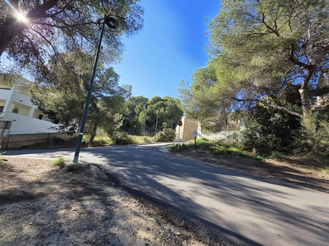Terreno en venta en Pilar de la Horadada, Alicante photo 5