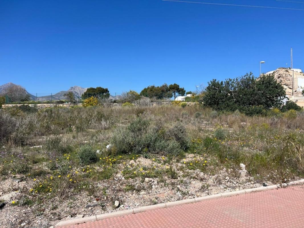 Terreno en venta en Alfaz del Pi, Alicante photo 2