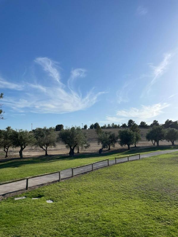 Terreno en venta en Monforte del Cid, Alicante photo 2