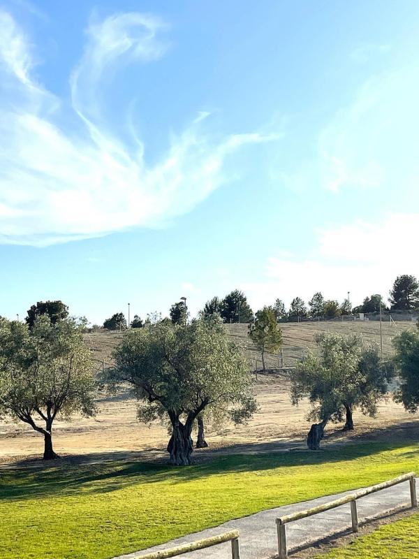 Terreno en venta en Monforte del Cid, Alicante photo 3