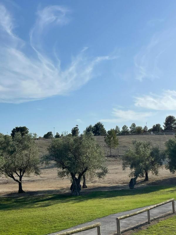Terreno en venta en Monforte del Cid, Alicante photo 4