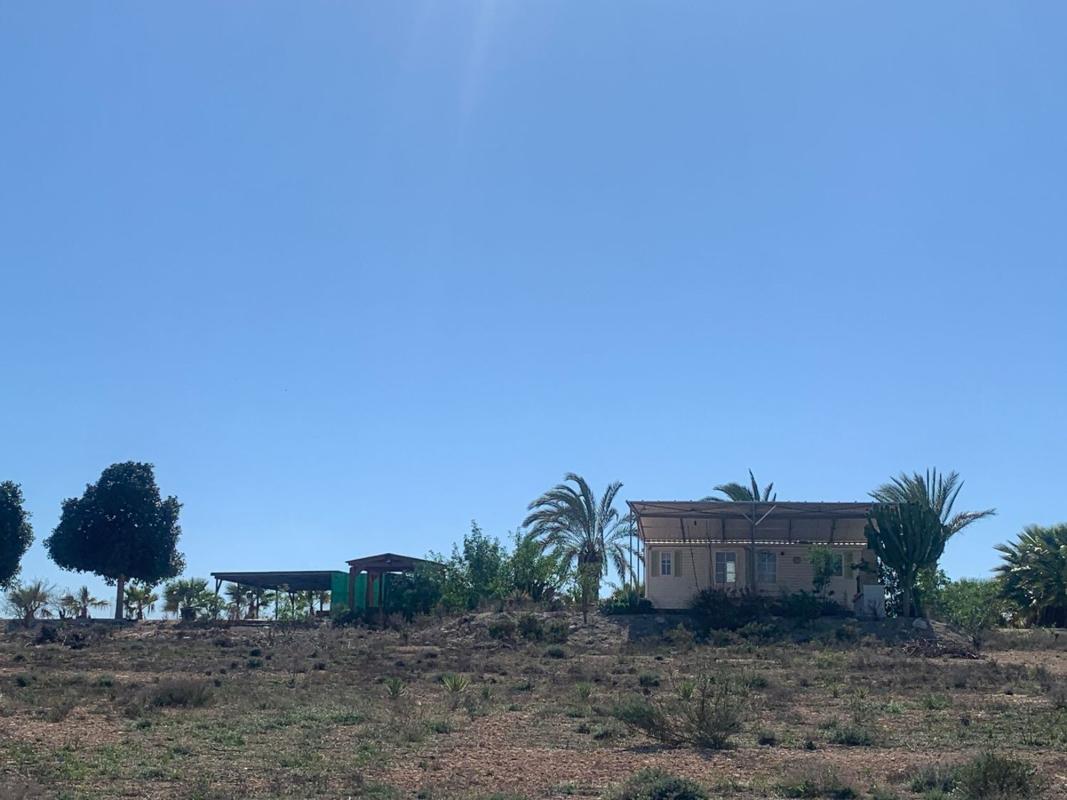 Terreno en venta en Elche / Elx, Alicante photo 1