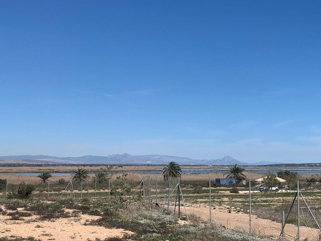 Terreno en venta en Elche / Elx, Alicante photo 4