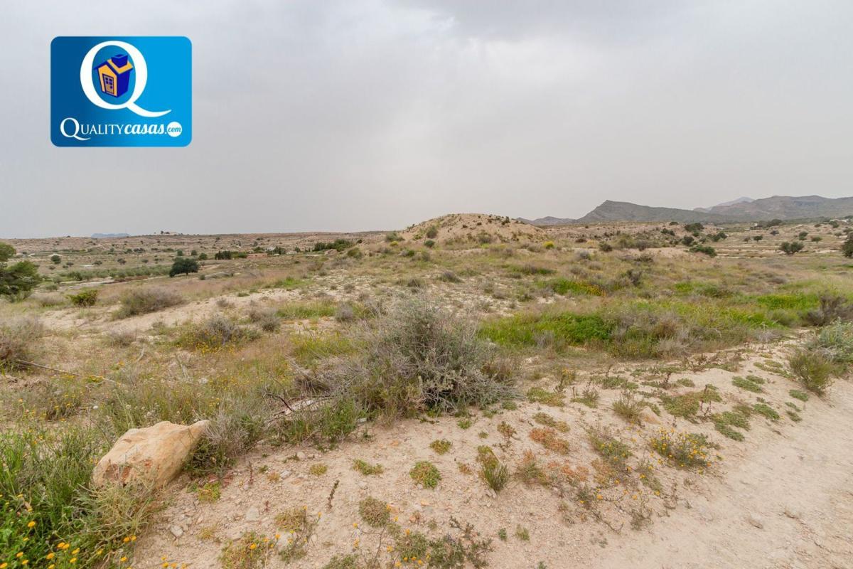 Land for sale in Alicante, Alicante photo 2