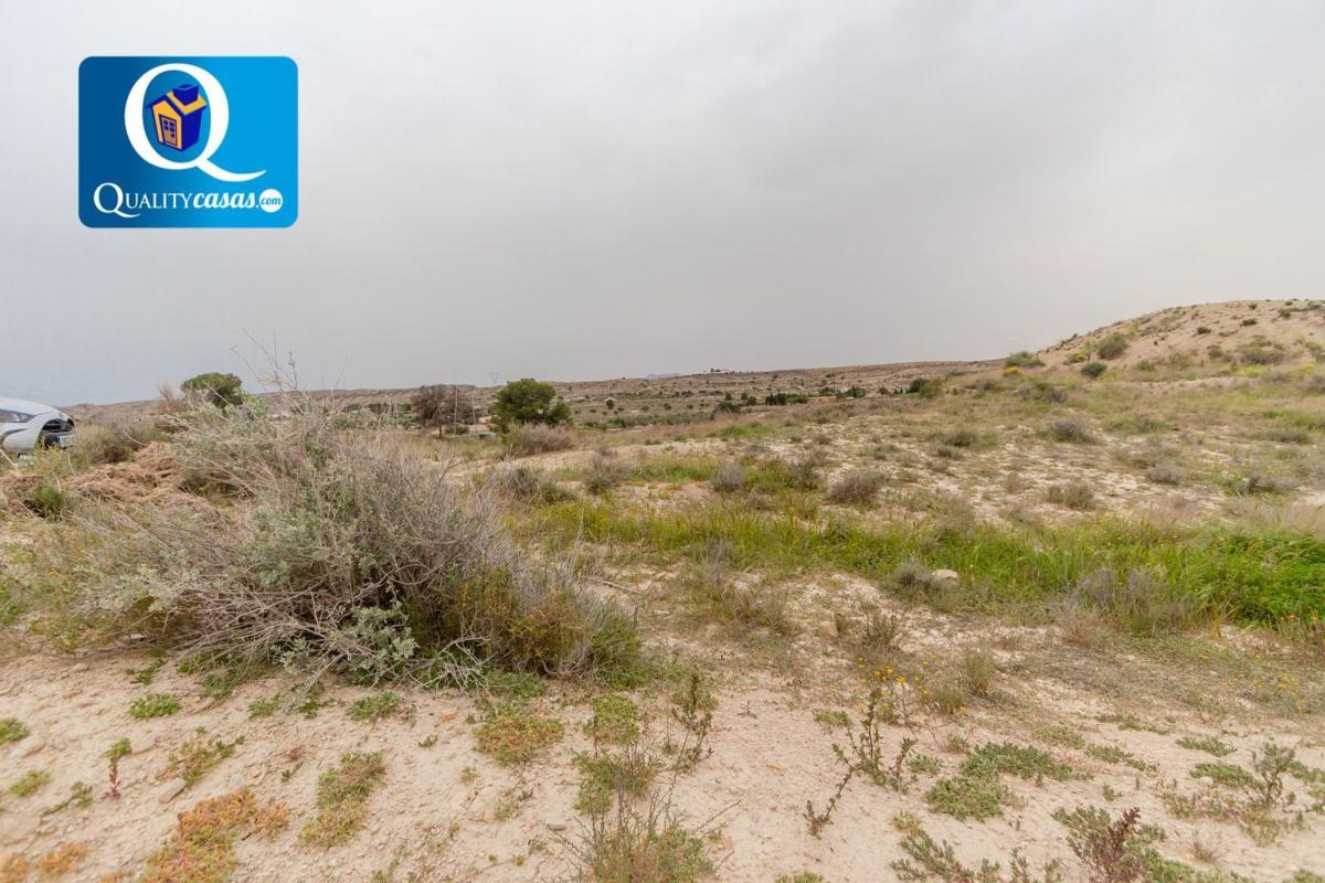 Land for sale in Alicante, Alicante photo 3